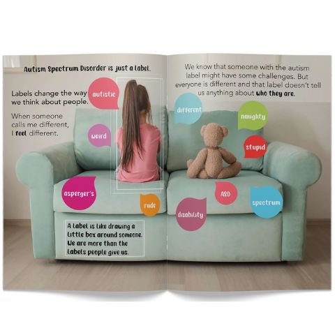 Aistear & SPHE Big Book - Autism