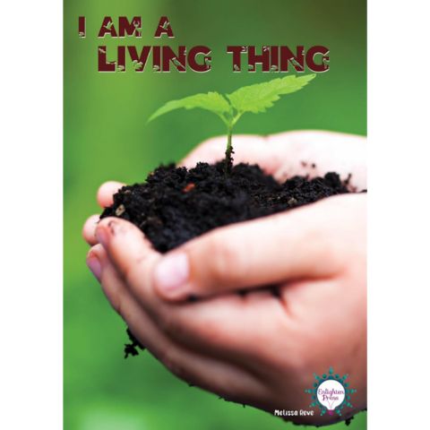 Aistear & SPHE Big Book