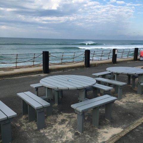 Adult Olympic Picnic Bench
