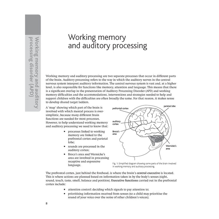 Target Ladders Working Memory and Auditory Processing