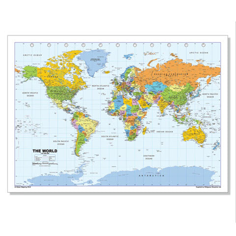 Wildgoose A1 Vinyl World Map