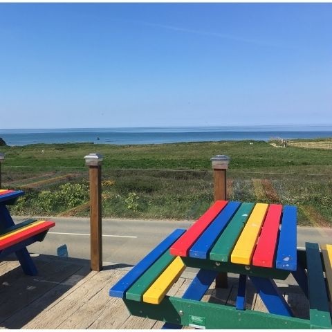 Heavy Duty Picnic Bench