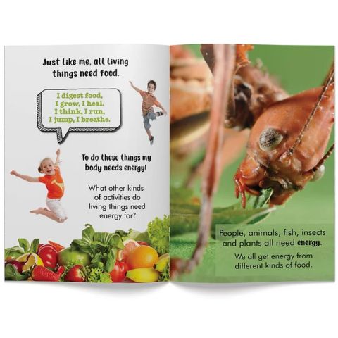 Aistear & SPHE Big Book