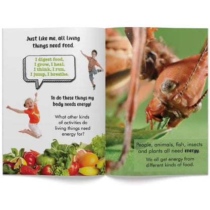 Aistear & SPHE Big Book