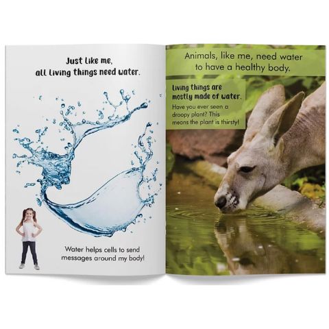 Aistear & SPHE Big Book