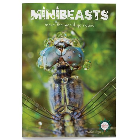 Minibeasts Big Book