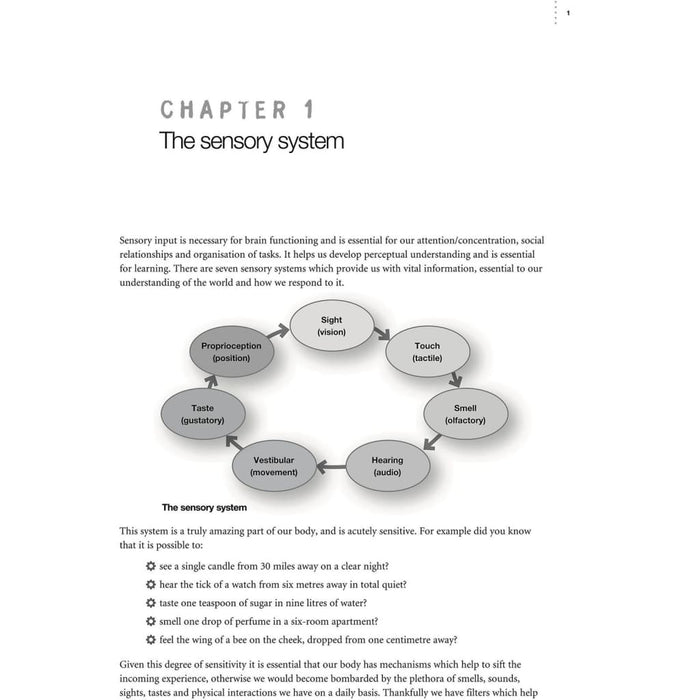 How to Support Children with Sensory Processing Needs