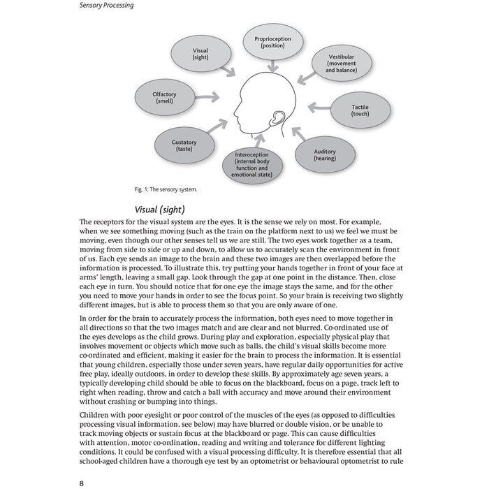 Target Ladders Sensory Processing